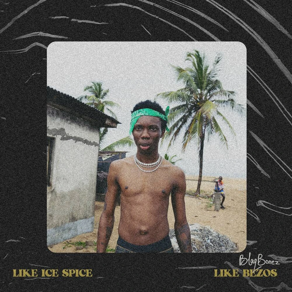 Like Ice Spice And Bezos Song By Blaqbonez